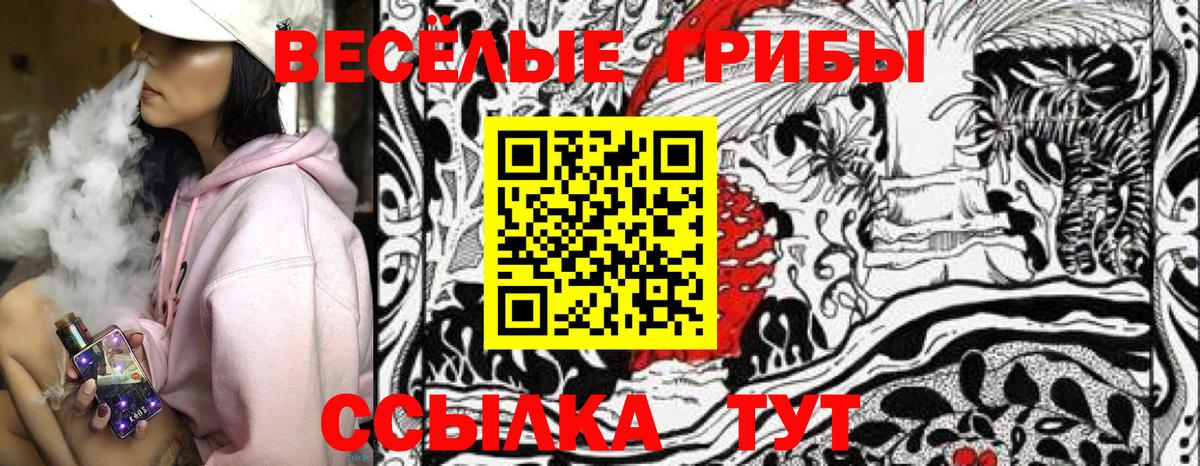 Павлово  Галлюциногенные грибы Magic Shrooms  Вход с VPN  Галлюциногенные грибы MAGIC MUSHROOMS 