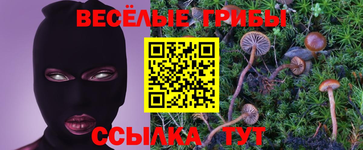 Галлюциногенные грибы Cubensis Павлово